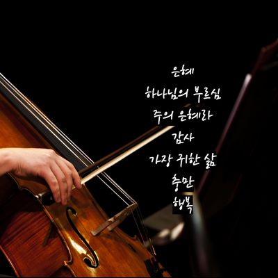 손경민 첼로 연주 모음곡집