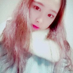꽃도담이