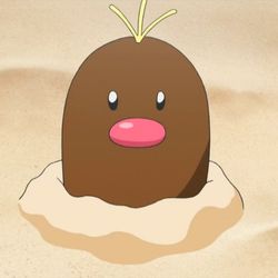 두도지 ᵔᴥᵔ 