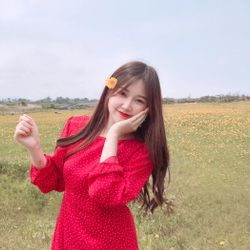 미니민(minimin)