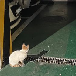 5한별_