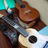 ukulelepapa