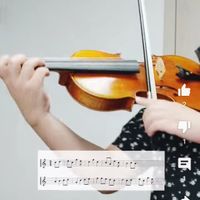 S.H Violin