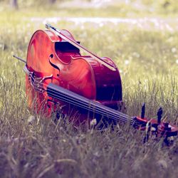 FreetimeCello