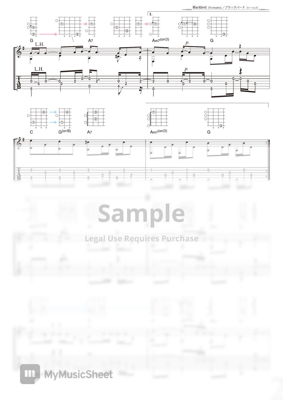 The Beatles Blackbird Solo Guitar 악보 By Daisuke Minamizawa 