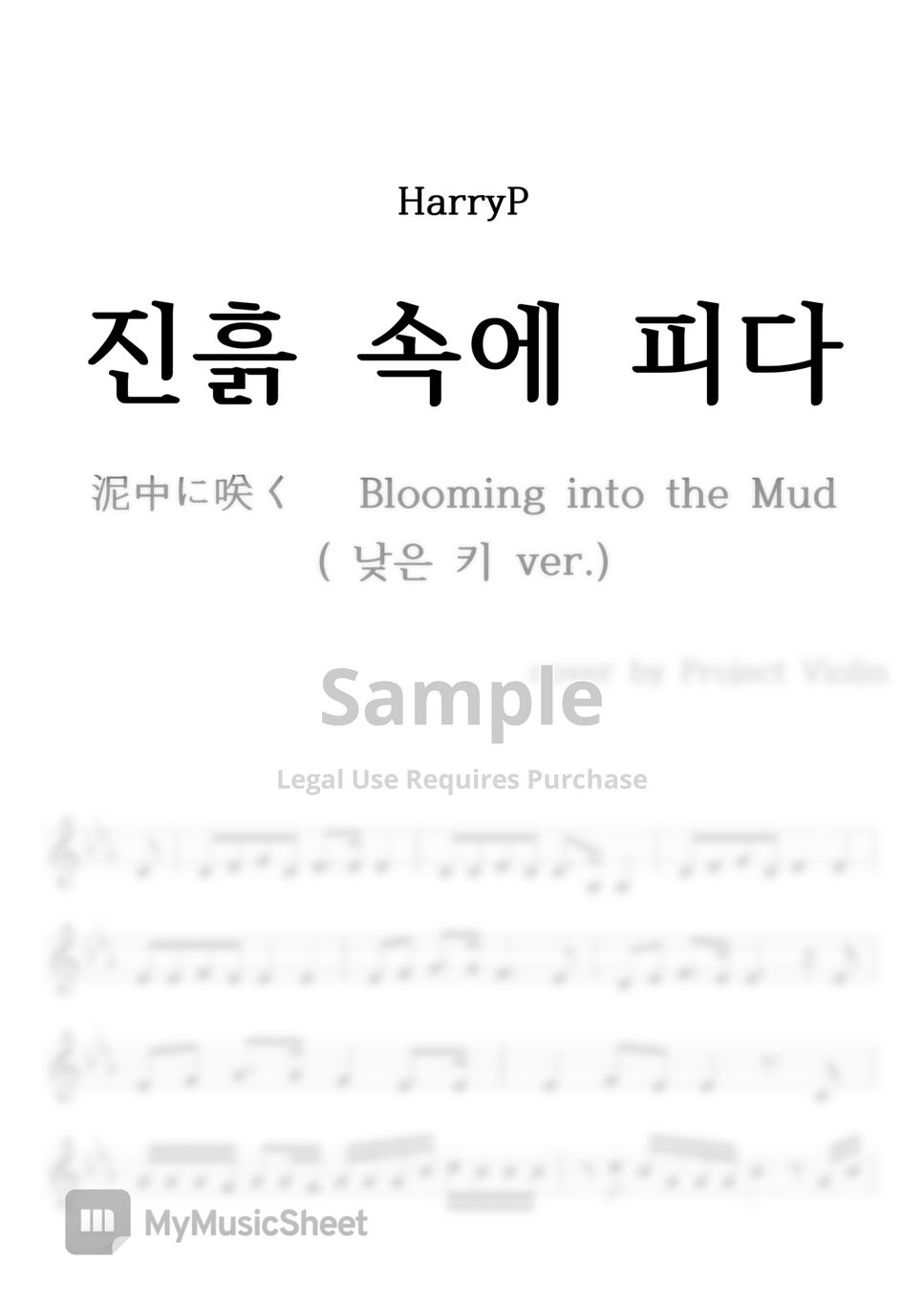 HarryP - 진흙 속에 피다(泥中に咲く Blooming into the Mud) by Project Violin