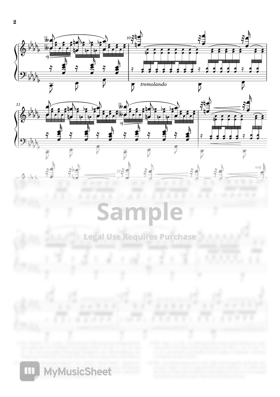 Liszt - Transcendental Études No.12 by Fortepian