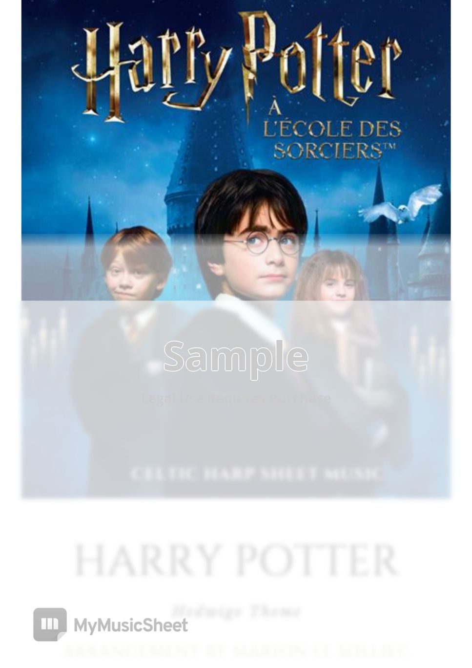 Harry Potter™ - Affiche Sorcellerie avec Hedwige