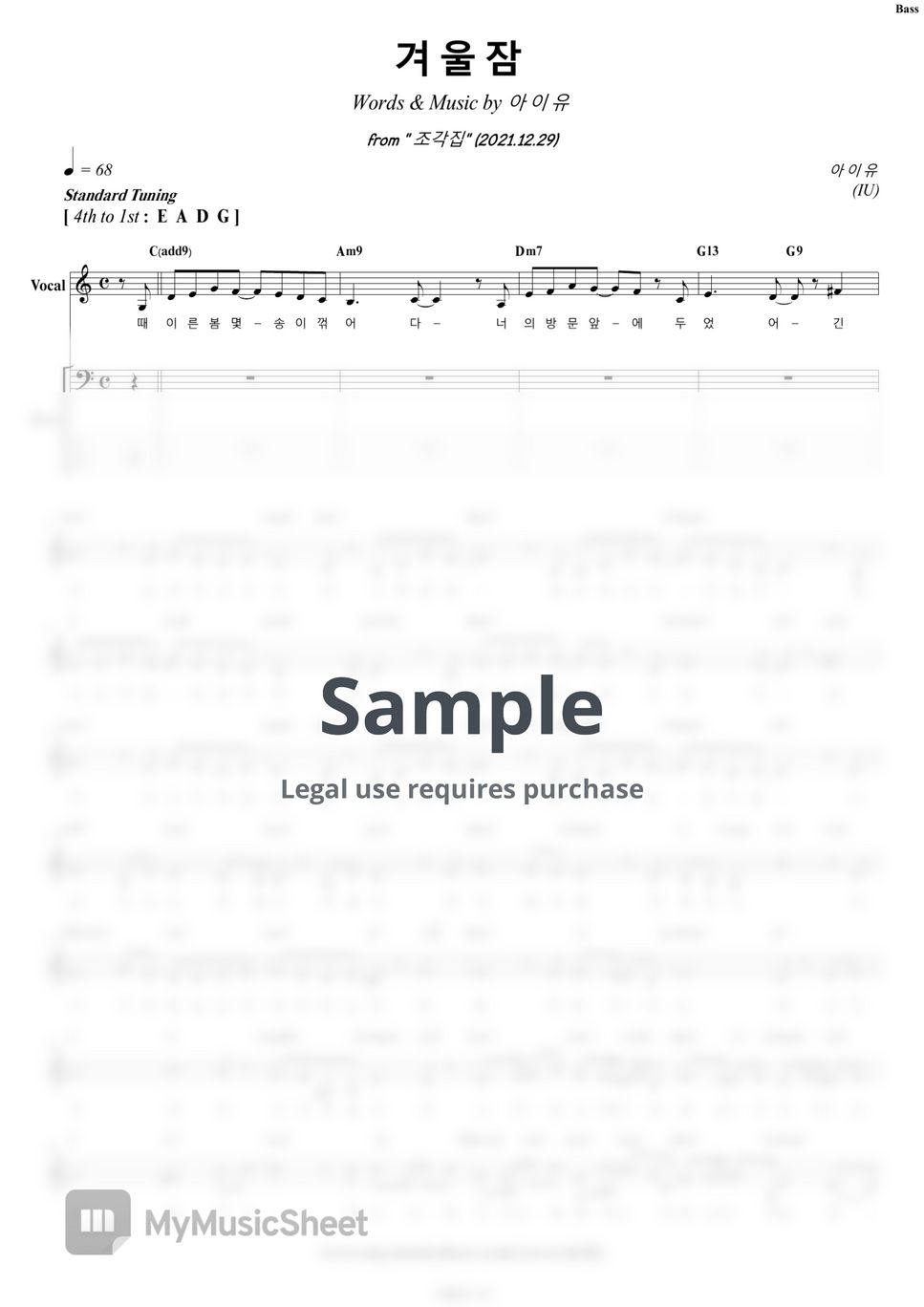 IU - Winter Sleep (+Backing Track) by COVER SKILLS