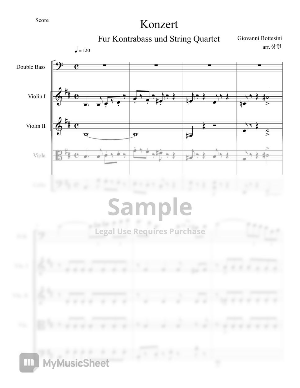 giovanni bottesini - Concerto for Double Bass No. 2 1st movemonet in B Minor String Quartet Accompaniment by SangHyeon