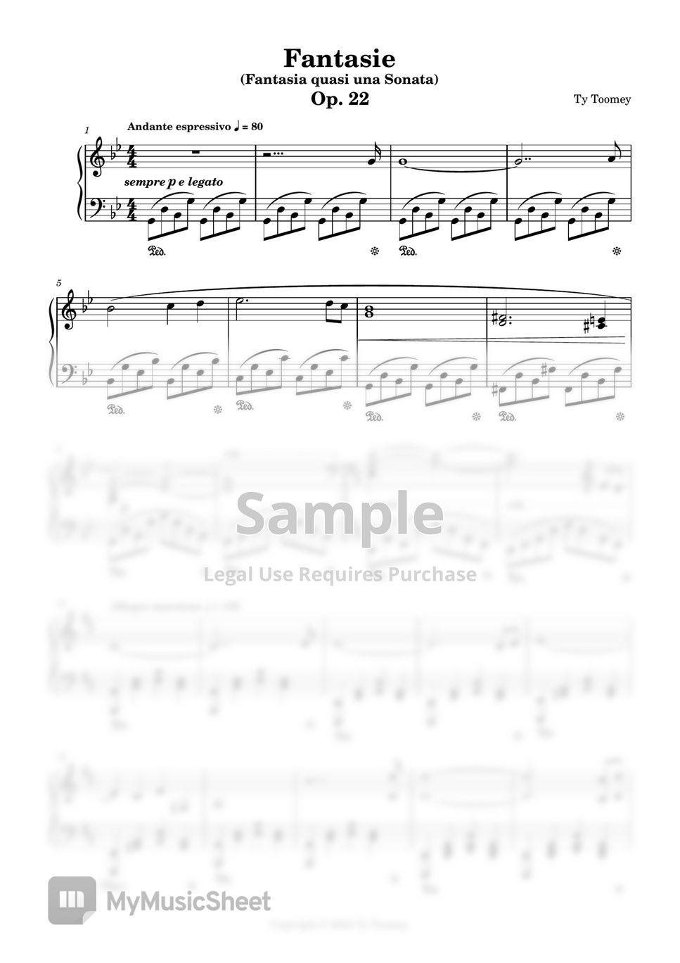 Ty Toomey - Fantasie Op. 22 (Original Composition) Sheets by Ty Toomey