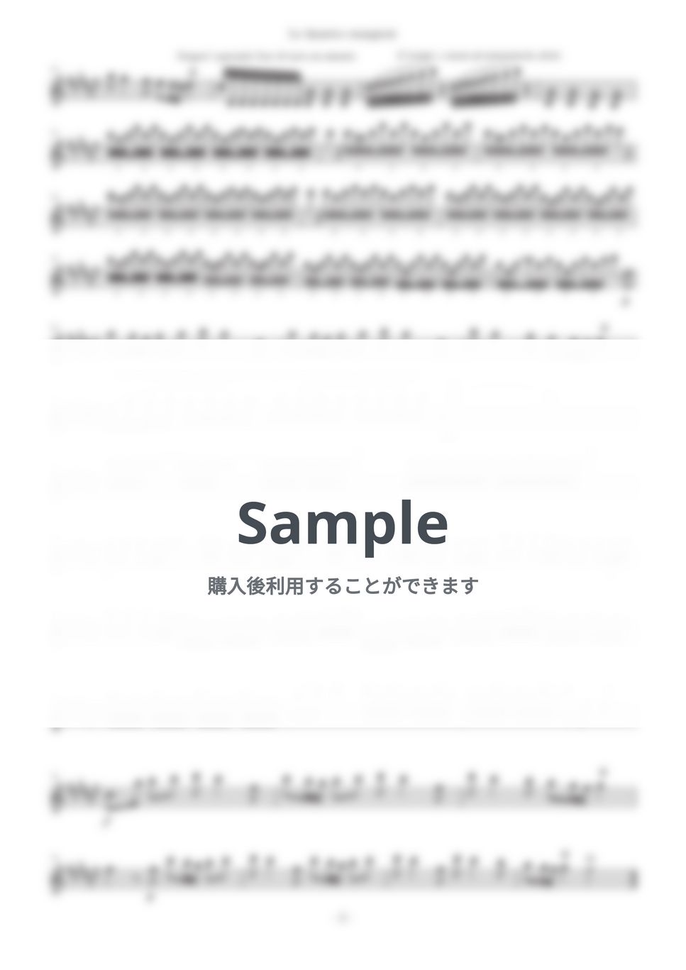 A.Vivaldi - The Four Seasons by Rui Ozawa(Musicpro)