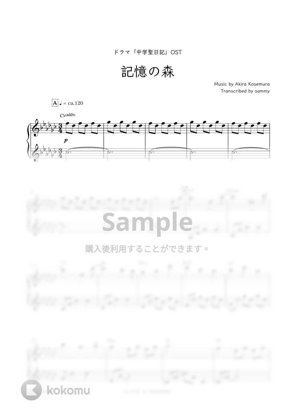 ドラマ『中学聖日記』OST - 記憶の森 by sammy