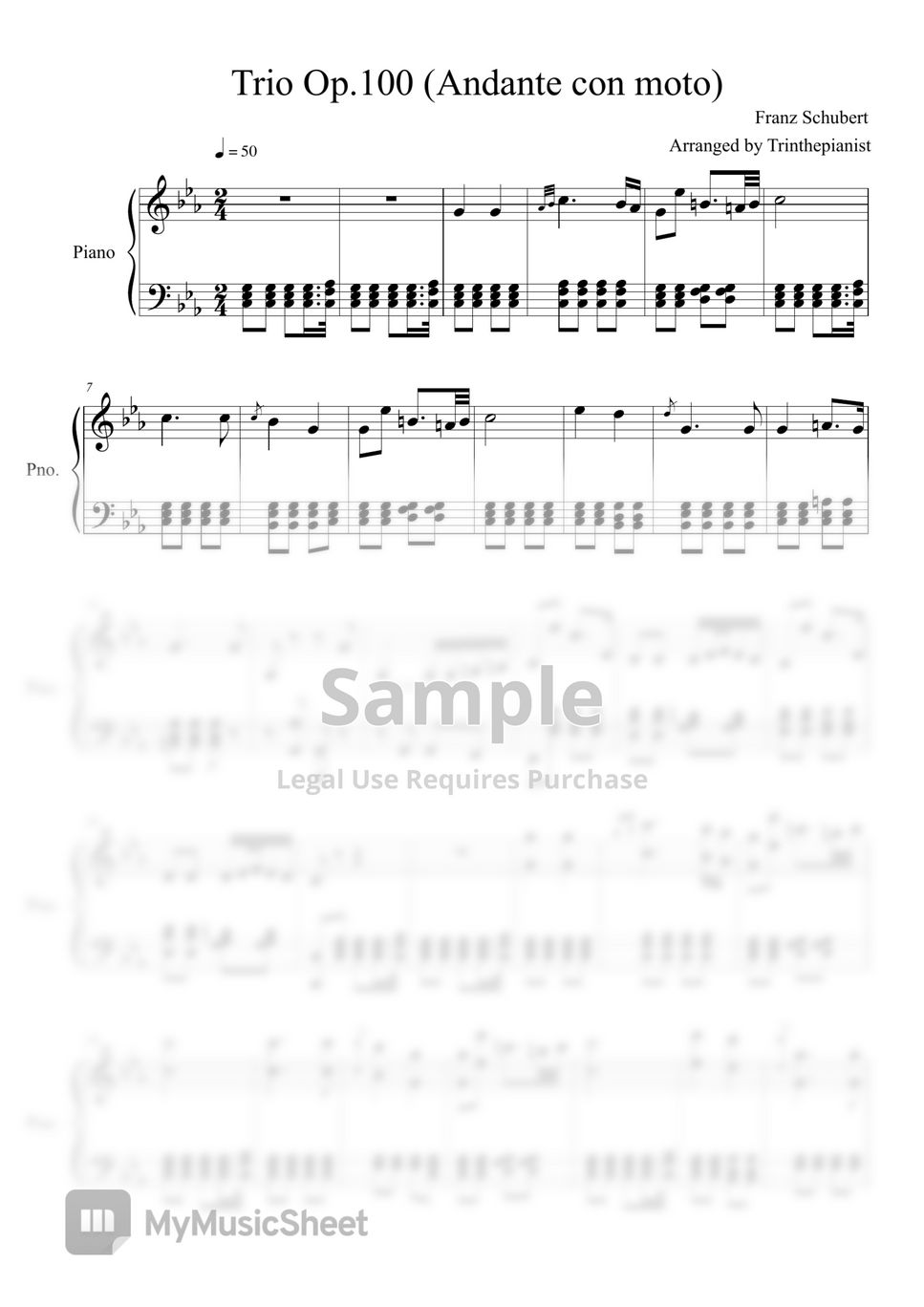 F. Schubert - Trio nº2 op.100, Andante con moto by Trinthepianist