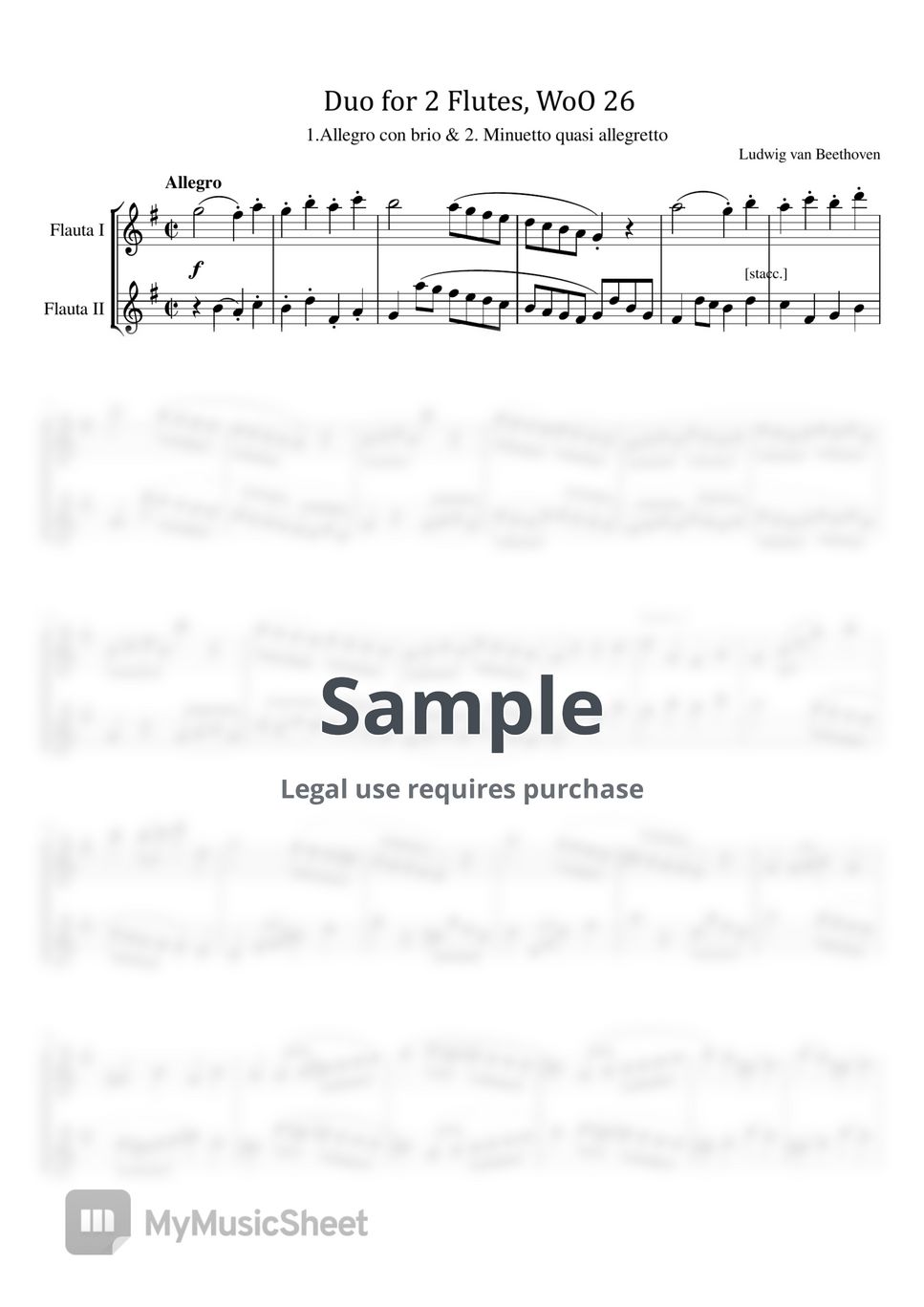 Ludwig van Beethoven Duo for 2 Flutes, WoO 26 in G Major (Full