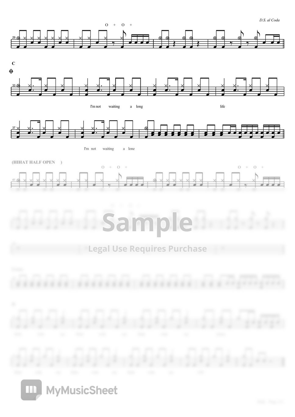 The Vines Ride Sheet by COPYDRUM