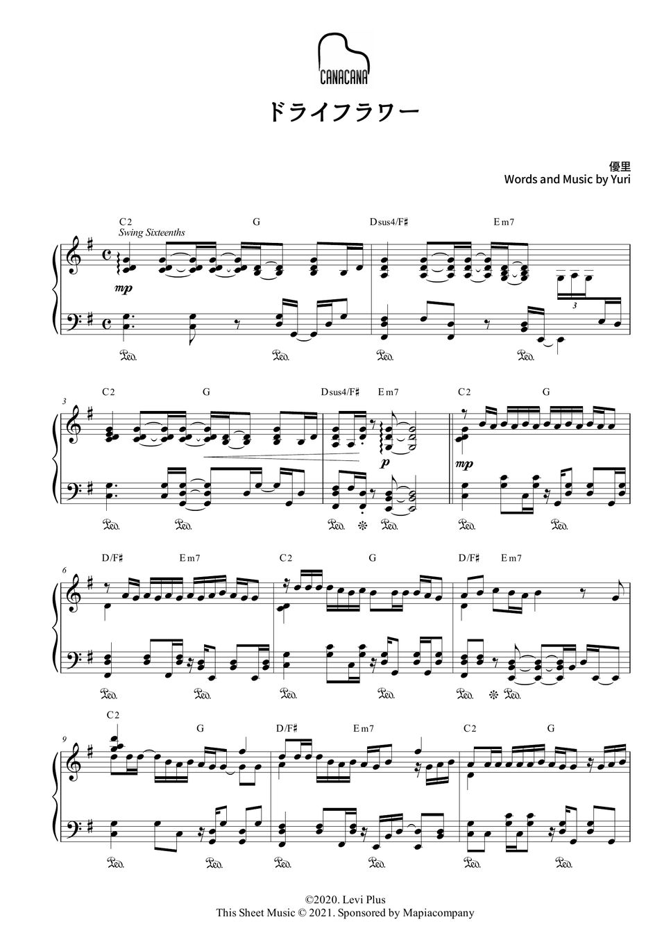 Yuuri Dry Flower (優里 ドライフラワー) Hoja by CANACANA family