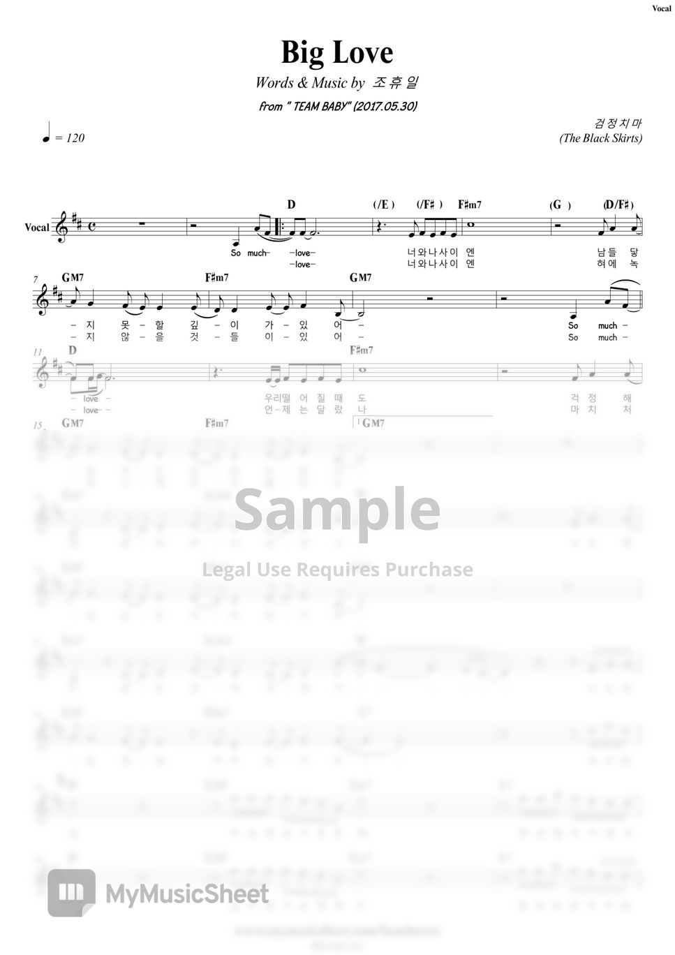 The Black Skirts Big Love Vocal Sheets