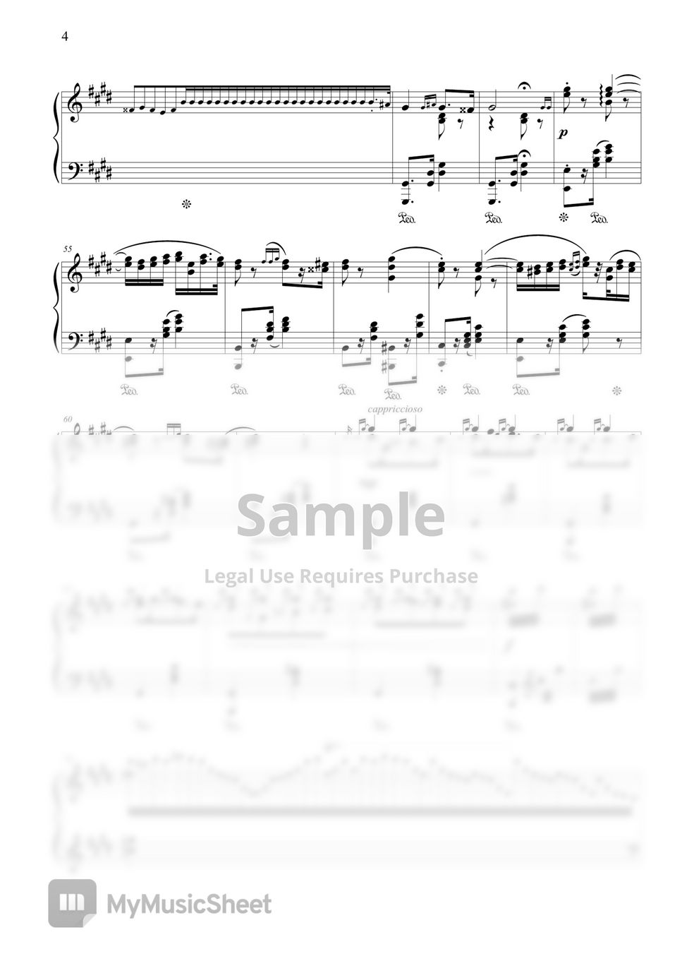 Tom and Jerry 'The Cat Concerto' - Hungarian Rhapsody No.2 by CANACANA family