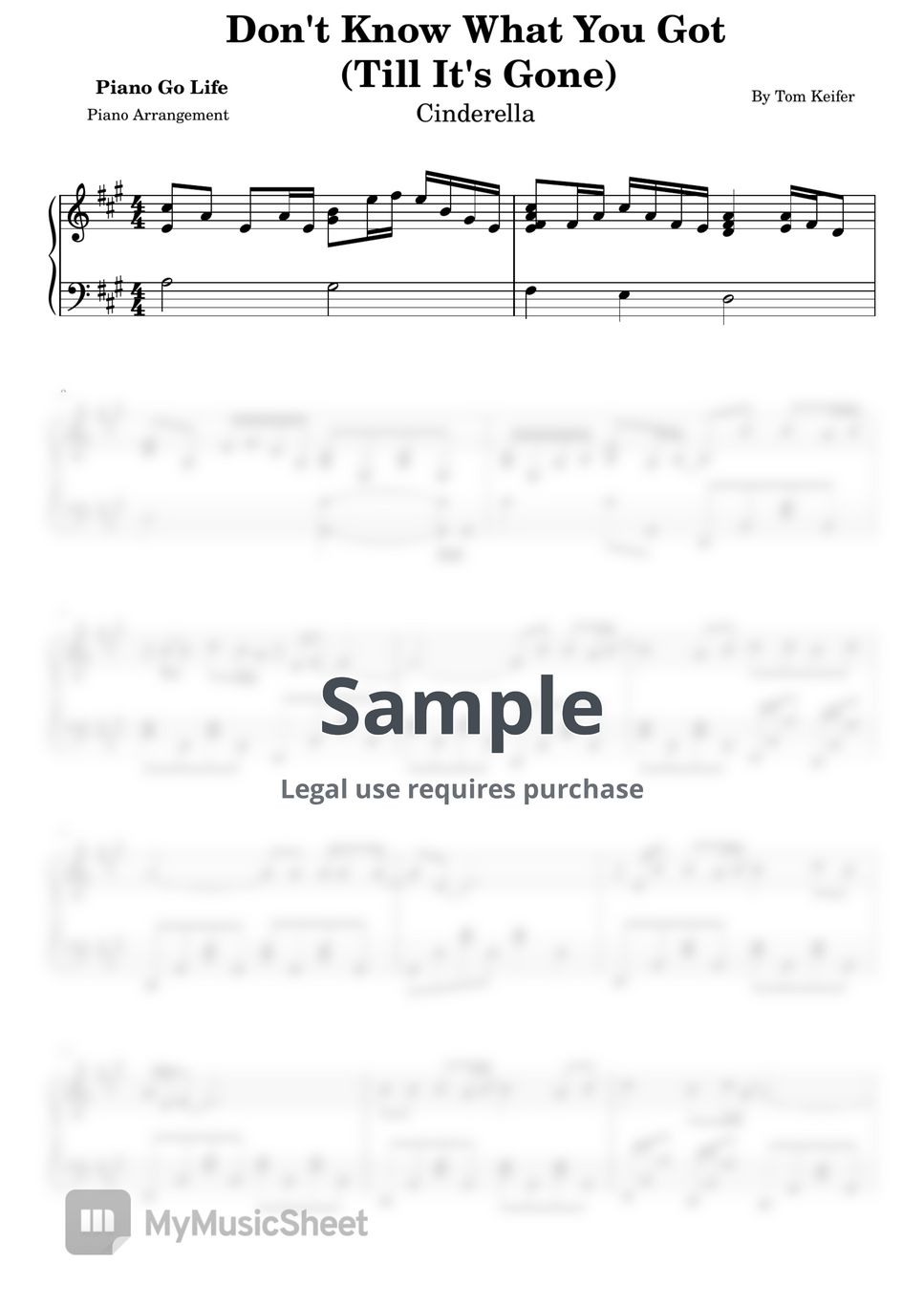 Cinderella - Don't Know What You Got (Till It's Gone) by Piano Go Life