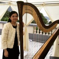 HK Harp Music Room