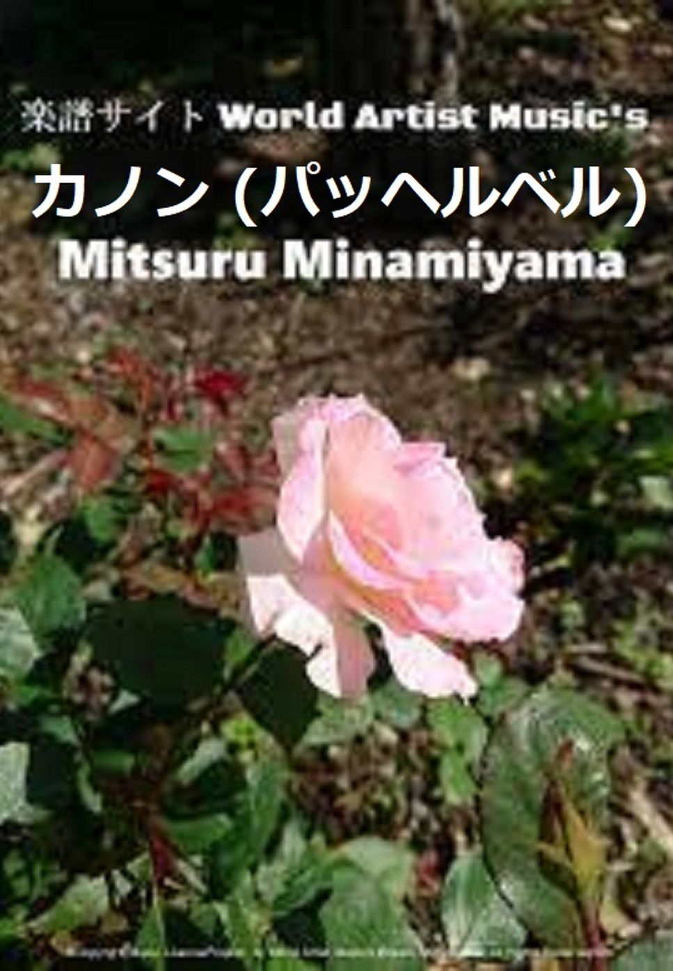 チェリッシュ - てんとう虫のサンバ (作詞:さいとう大三,作曲:馬飼野俊一) by @MitsuruMinamiyama