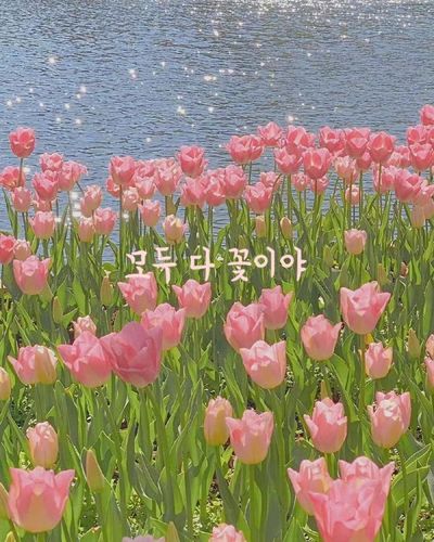 모두 다 꽃이야