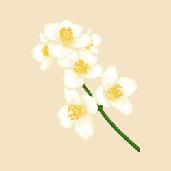 스테이힐링뮤직