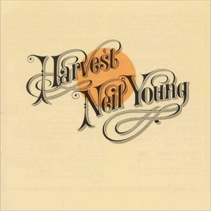 Neil Young 악보 3개