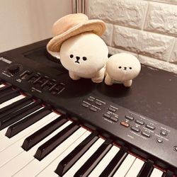 KC plum music 프로필 이미지