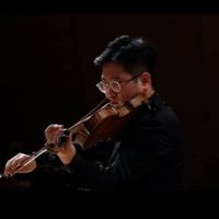 Violin HAN