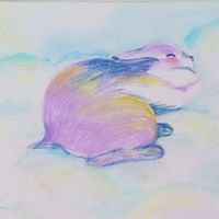 Lilac.C