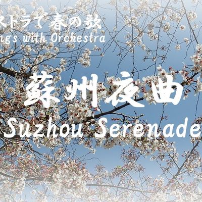 Suzhou Serenade