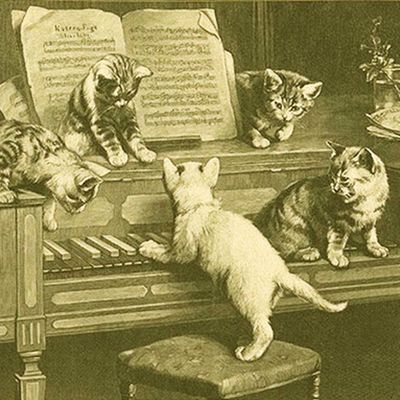  ねこふんじゃった