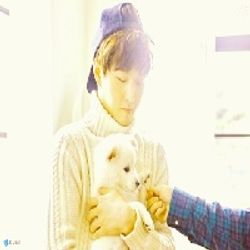 핑크멜로디