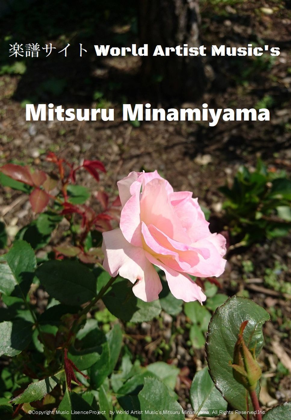 歌手：SMAP 　作詞・作曲　槇原敬之 - 世界に一つだけの花 by Mitsuru Minamiyama