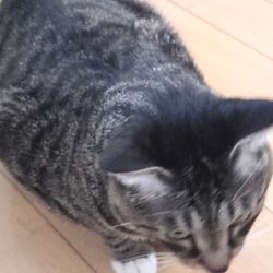 김강민 (14)