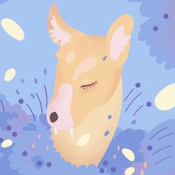 고라니잡곡창고