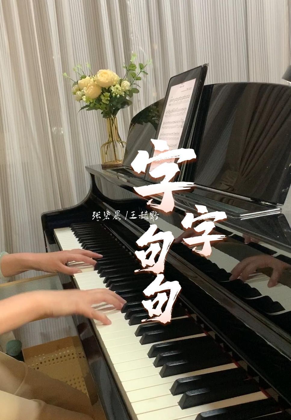 卢卢快闭嘴 - 字字句句 Zi Zi Ju Ju by LokLok Piano