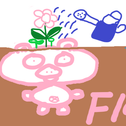 Pigflower