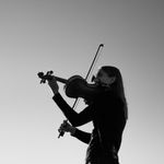 viola