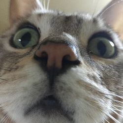 まっきん