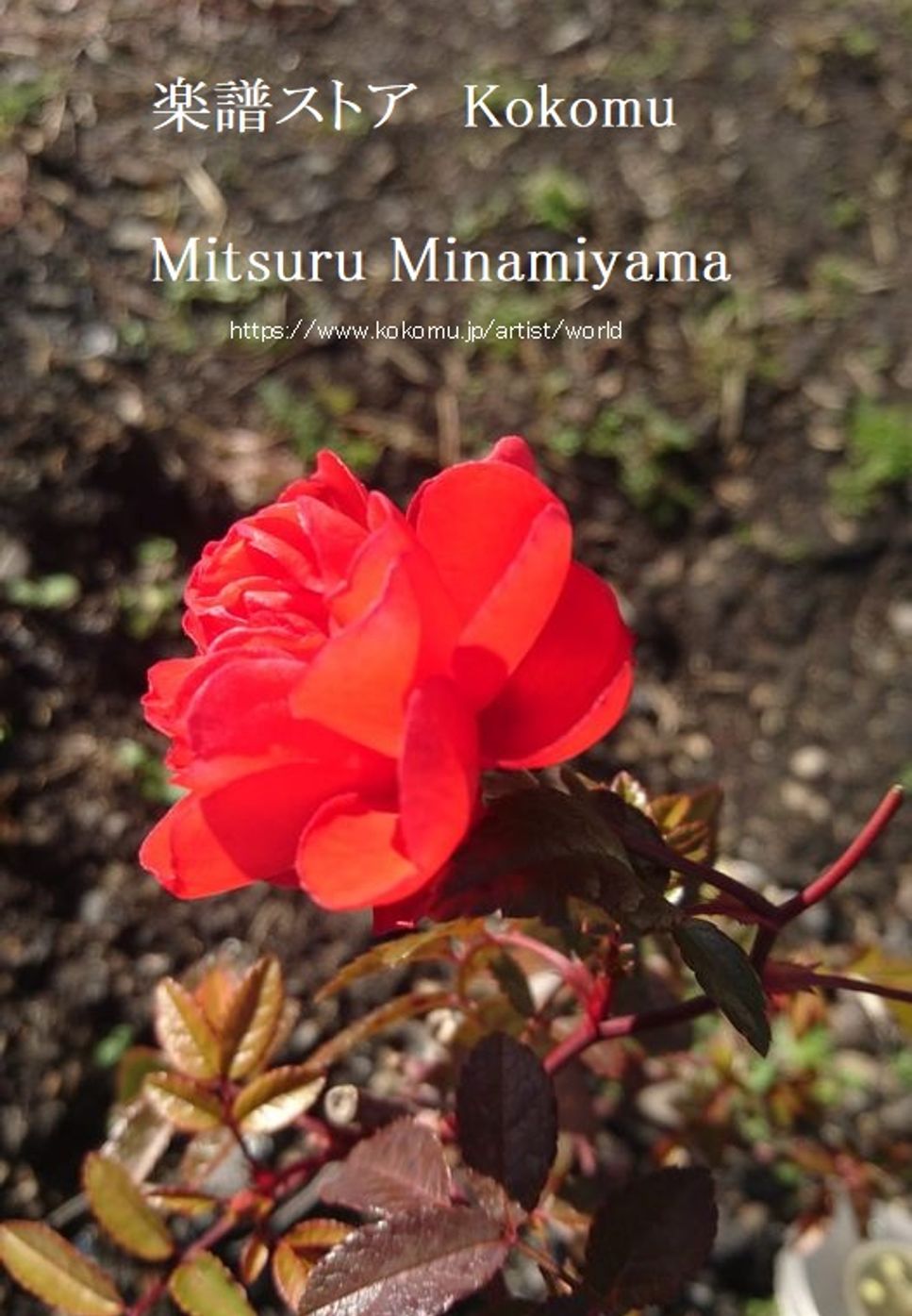 MISIA  作詞：MISIA. 作曲：Jun Sasaki - 逢いたくていま MISIA (作詞：MISIA. 作曲：Jun Sasaki) by Mitsuru Minamiyama