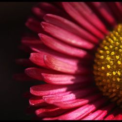 좋아서하는피아노