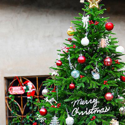 크리스마스에 연주하기좋은 곡 EASY (11곡) 