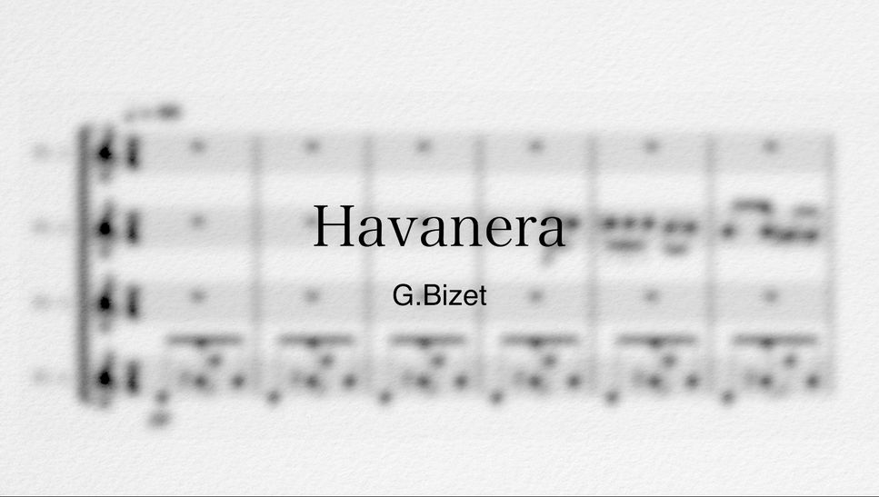 G.Bizet - Havanera (플루트4중주) by @healng_flute