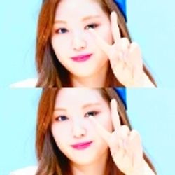 신디y 프로필 이미지
