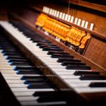 organ