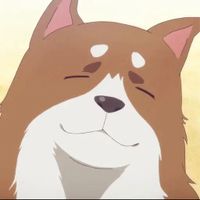 MasZhai_摇滚马斯宅