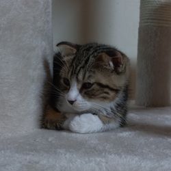 민석작곡가 프로필 이미지